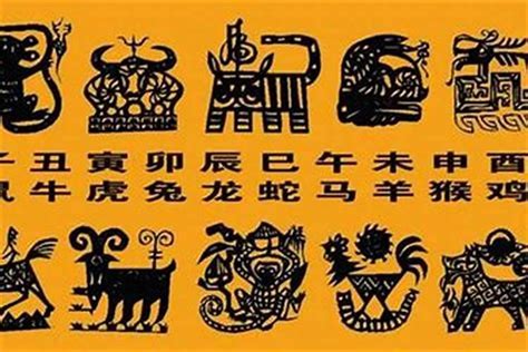 狗喜用字|属狗人怎么取名 属狗人起名宜忌用字有哪些？